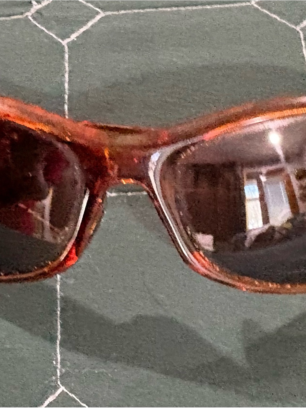 Tifosi Optics Women's Tortoiseshell Brown Sunglasses